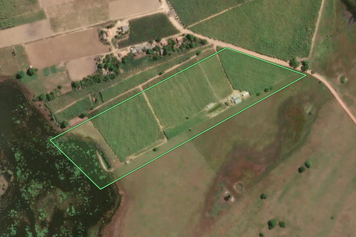 Imagem de satélite do imóvel rural em São Francisco de Itabapoana (RJ), com o contorno declarado no CAR desenhado por cima.