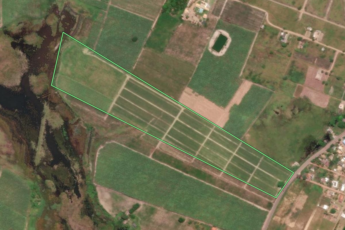 Imagem de satélite do imóvel rural em São Francisco de Itabapoana (RJ), com o contorno declarado no CAR desenhado por cima.