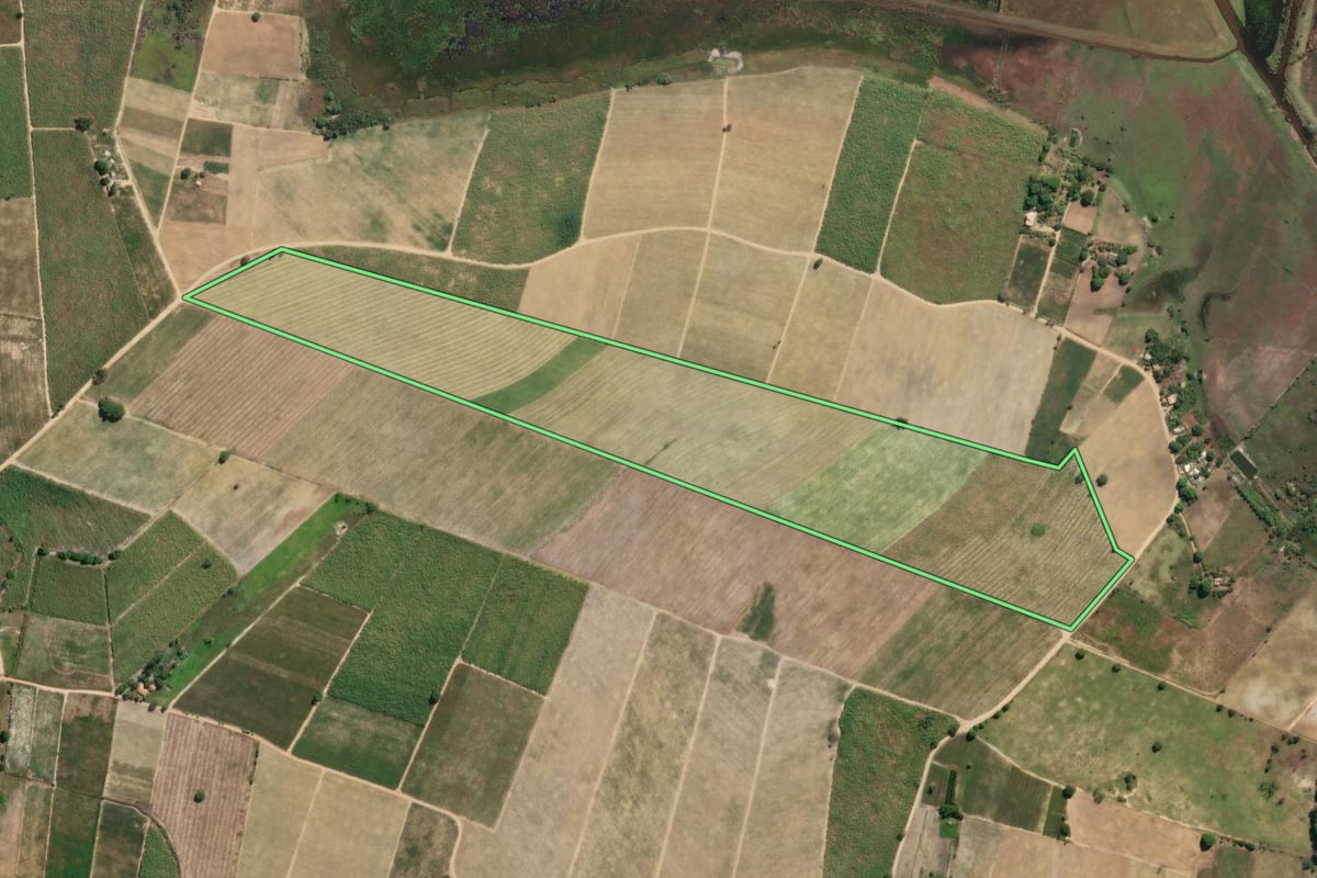 Imagem de satélite do imóvel rural em São Francisco de Itabapoana (RJ), com o contorno declarado no CAR desenhado por cima.