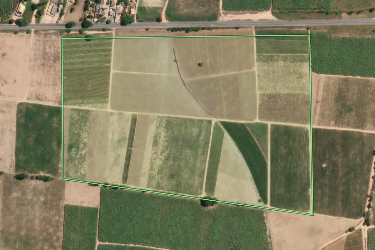 Imagem de satélite do imóvel rural em São Francisco de Itabapoana (RJ), com o contorno declarado no CAR desenhado por cima.