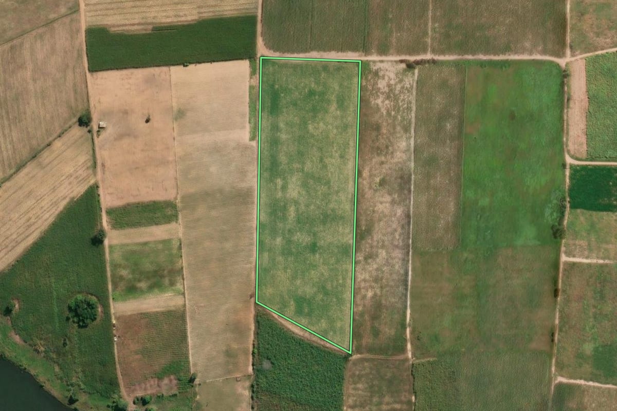 Imagem de satélite do imóvel rural em São Francisco de Itabapoana (RJ), com o contorno declarado no CAR desenhado por cima.