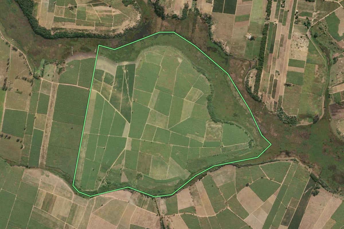 Imagem de satélite do imóvel rural em São Francisco de Itabapoana (RJ), com o contorno declarado no CAR desenhado por cima.