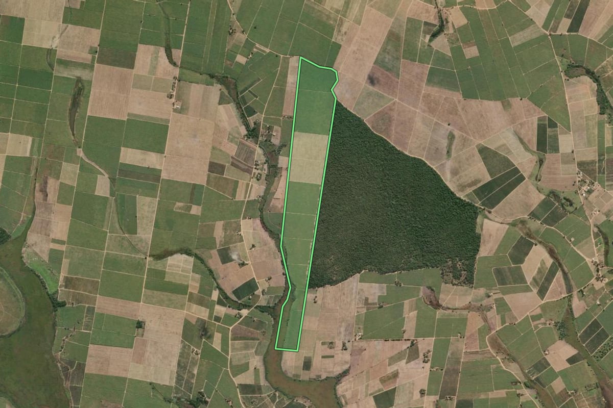 Imagem de satélite do imóvel rural em São Francisco de Itabapoana (RJ), com o contorno declarado no CAR desenhado por cima.
