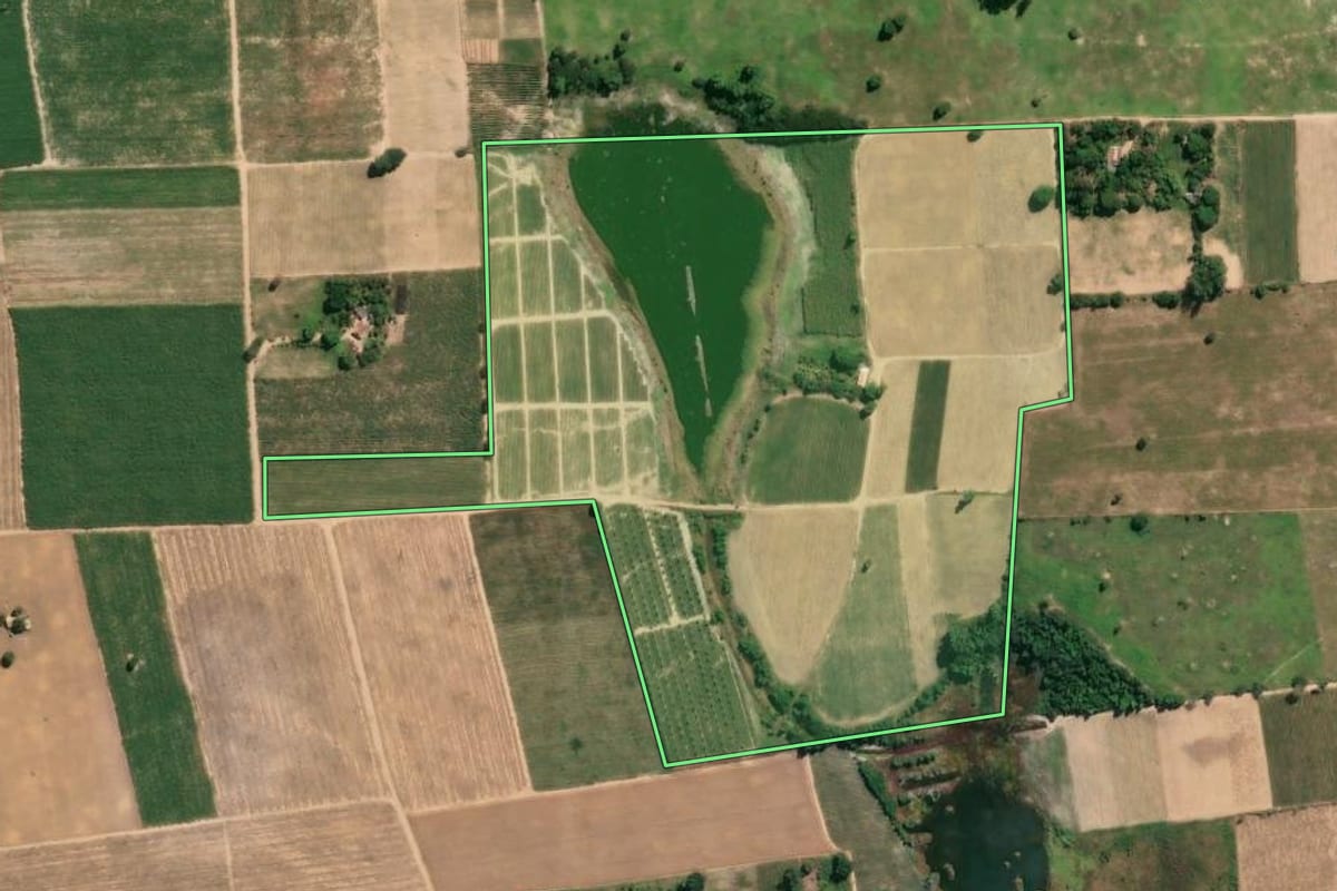 Imagem de satélite do imóvel rural em São Francisco de Itabapoana (RJ), com o contorno declarado no CAR desenhado por cima.