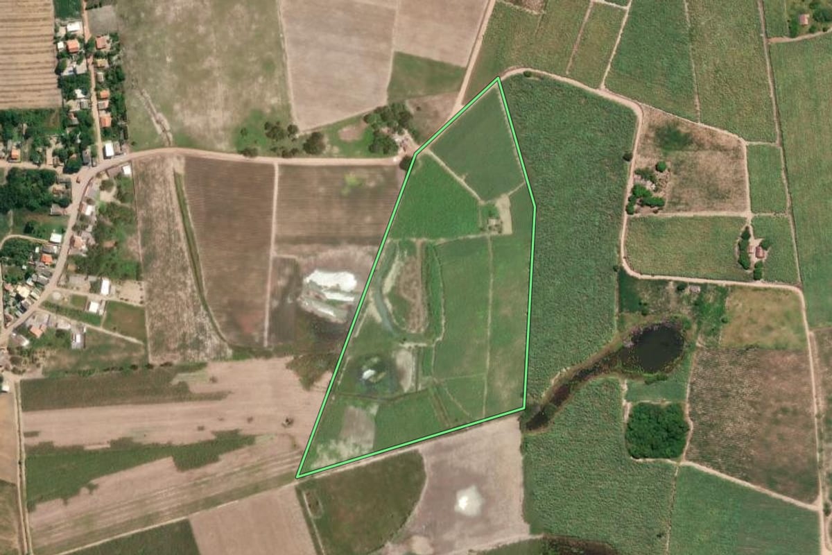 Imagem de satélite do imóvel rural em São Francisco de Itabapoana (RJ), com o contorno declarado no CAR desenhado por cima.