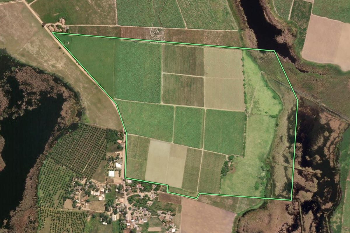 Imagem de satélite do imóvel rural em São Francisco de Itabapoana (RJ), com o contorno declarado no CAR desenhado por cima.