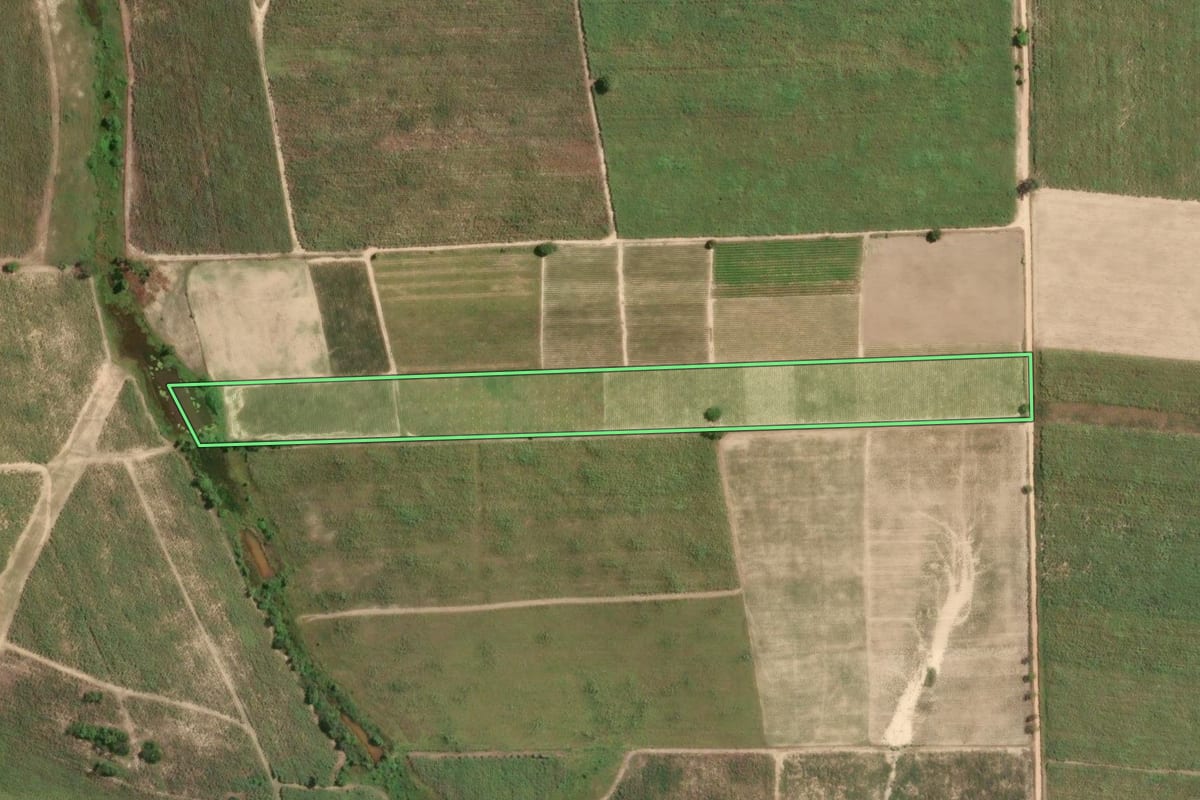 Imagem de satélite do imóvel rural em São Francisco de Itabapoana (RJ), com o contorno declarado no CAR desenhado por cima.