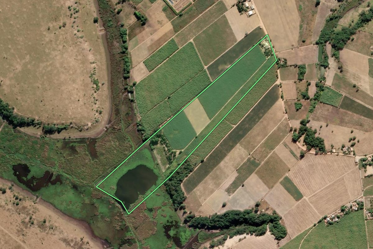 Imagem de satélite do imóvel rural em São Francisco de Itabapoana (RJ), com o contorno declarado no CAR desenhado por cima.