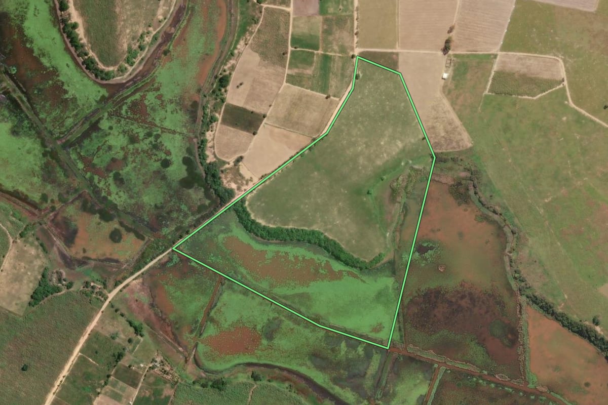 Imagem de satélite do imóvel rural em São Francisco de Itabapoana (RJ), com o contorno declarado no CAR desenhado por cima.
