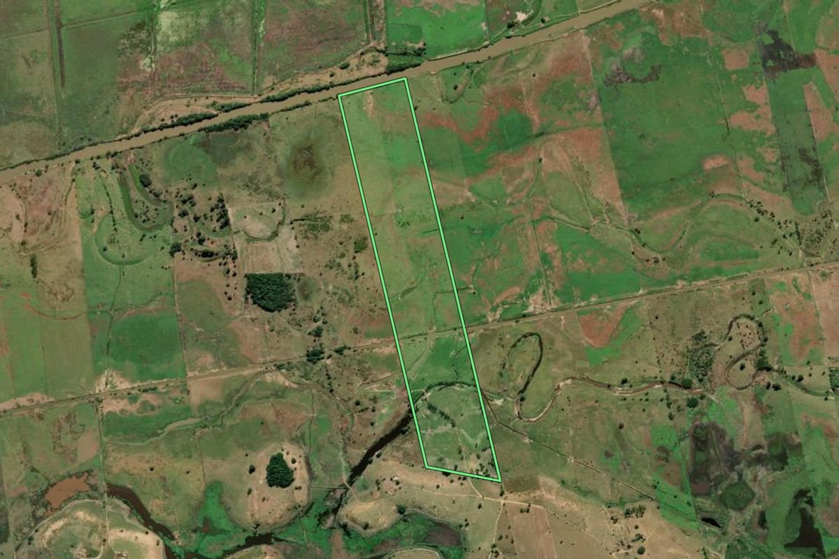 Imagem de satélite do imóvel rural em São Francisco de Itabapoana (RJ), com o contorno declarado no CAR desenhado por cima.