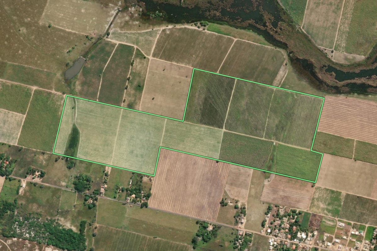 Imagem de satélite do imóvel rural em São Francisco de Itabapoana (RJ), com o contorno declarado no CAR desenhado por cima.
