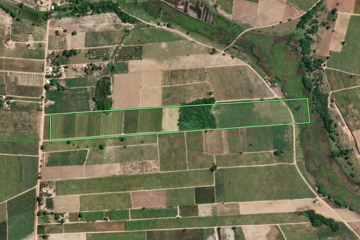 Imagem de satélite do imóvel rural em São Francisco de Itabapoana (RJ), com o contorno declarado no CAR desenhado por cima.