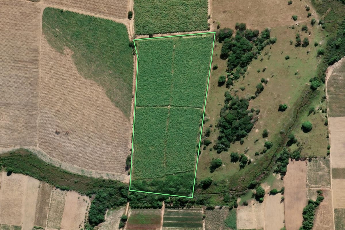 Imagem de satélite do imóvel rural em São Francisco de Itabapoana (RJ), com o contorno declarado no CAR desenhado por cima.