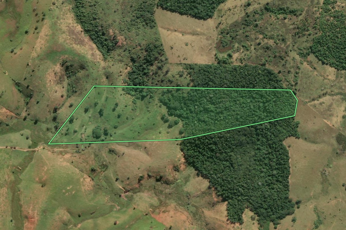 Imagem de satélite do imóvel rural em São Francisco de Itabapoana (RJ), com o contorno declarado no CAR desenhado por cima.