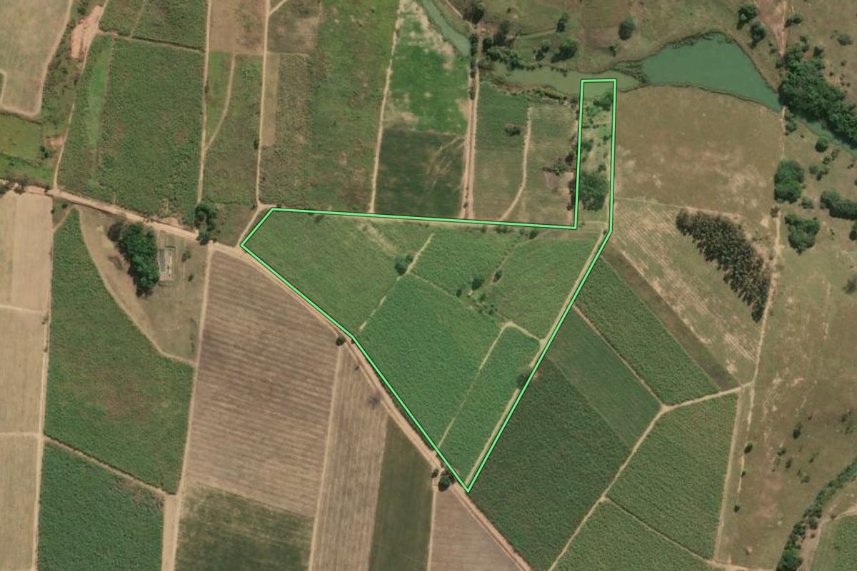Imagem de satélite do imóvel rural em São Francisco de Itabapoana (RJ), com o contorno declarado no CAR desenhado por cima.