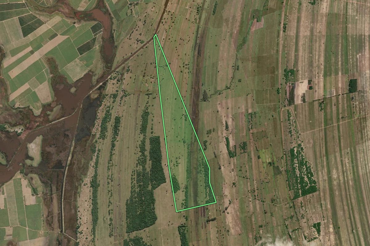 Imagem de satélite do imóvel rural em São Francisco de Itabapoana (RJ), com o contorno declarado no CAR desenhado por cima.