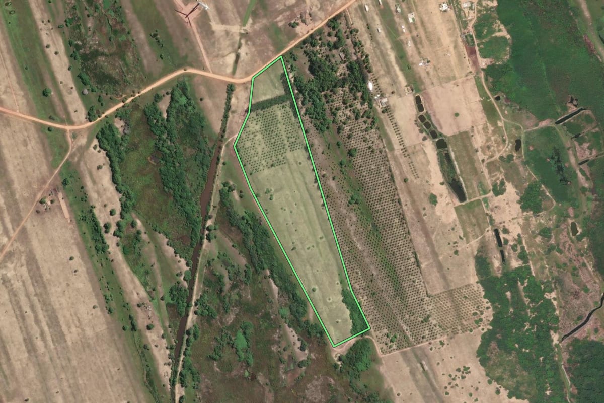Imagem de satélite do imóvel rural em São Francisco de Itabapoana (RJ), com o contorno declarado no CAR desenhado por cima.
