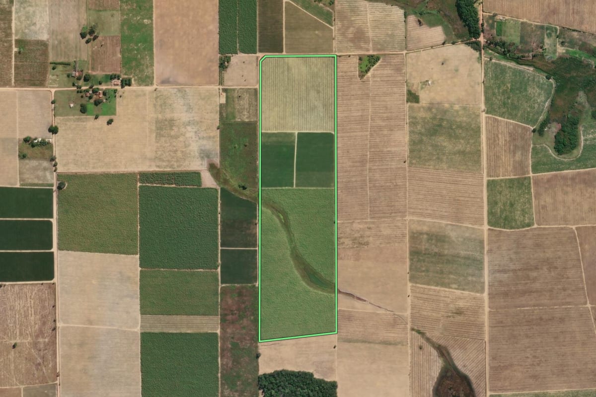 Imagem de satélite do imóvel rural em São Francisco de Itabapoana (RJ), com o contorno declarado no CAR desenhado por cima.