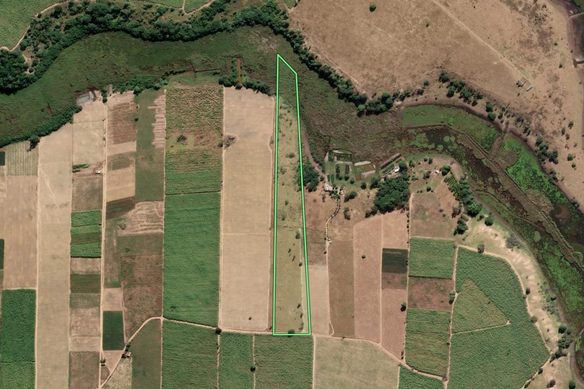 Imagem de satélite do imóvel rural em São Francisco de Itabapoana (RJ), com o contorno declarado no CAR desenhado por cima.