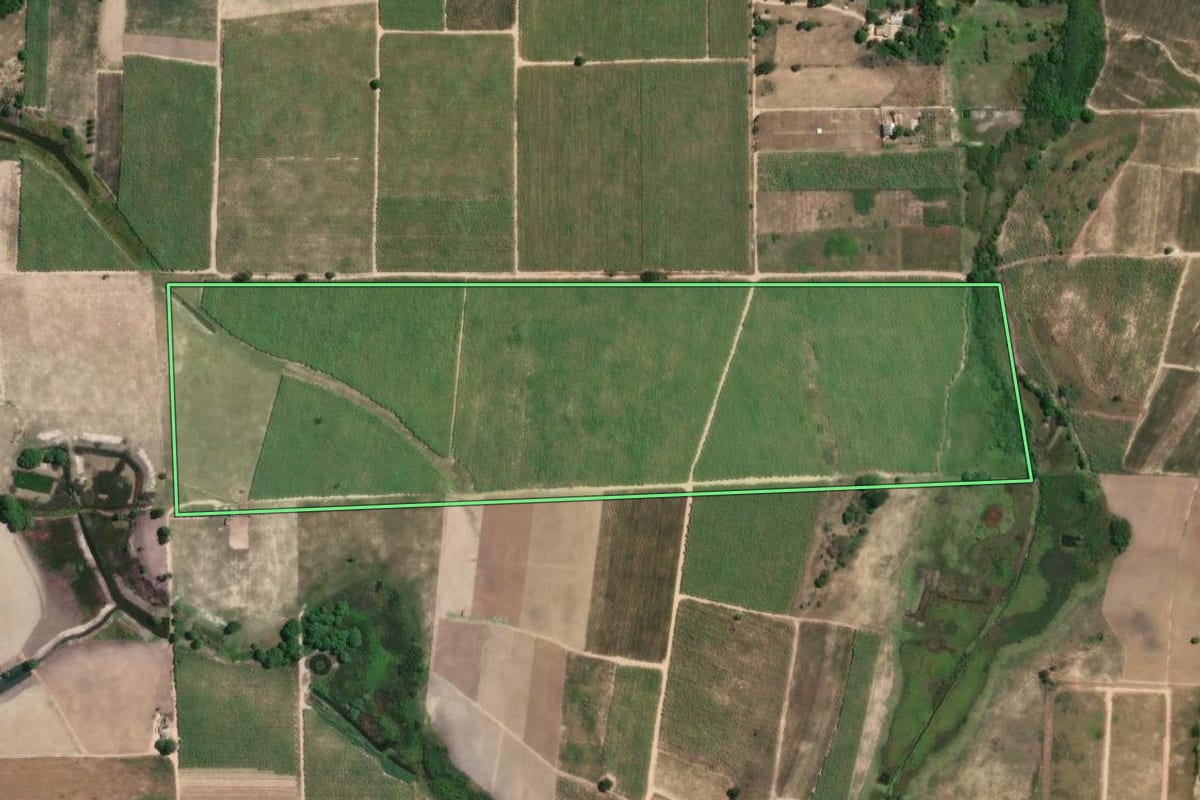 Imagem de satélite do imóvel rural em São Francisco de Itabapoana (RJ), com o contorno declarado no CAR desenhado por cima.