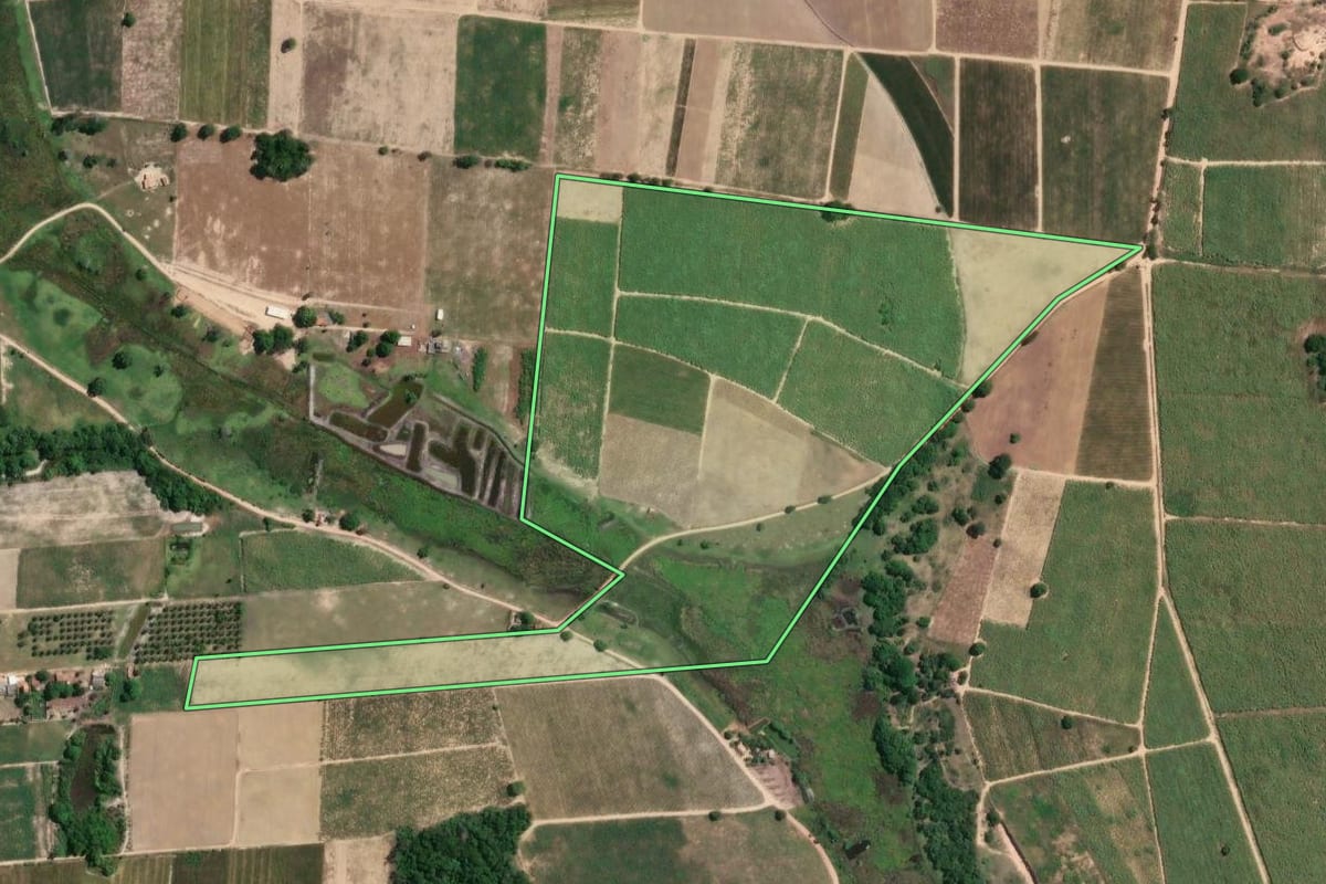 Imagem de satélite do imóvel rural em São Francisco de Itabapoana (RJ), com o contorno declarado no CAR desenhado por cima.