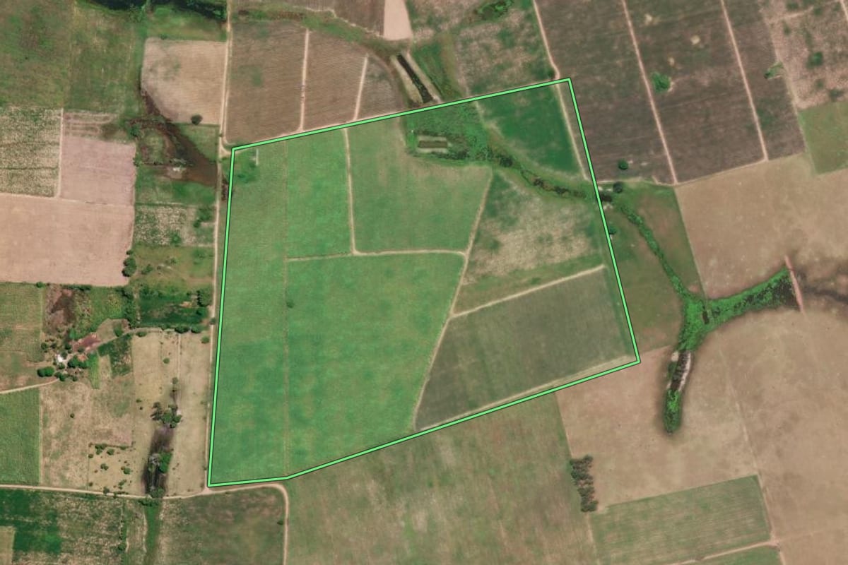 Imagem de satélite do imóvel rural em São Francisco de Itabapoana (RJ), com o contorno declarado no CAR desenhado por cima.