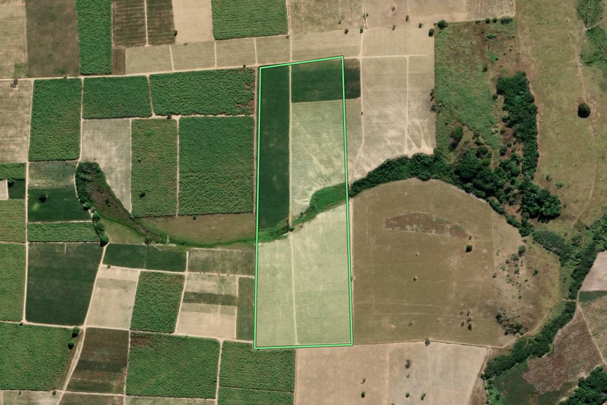 Imagem de satélite do imóvel rural em São Francisco de Itabapoana (RJ), com o contorno declarado no CAR desenhado por cima.