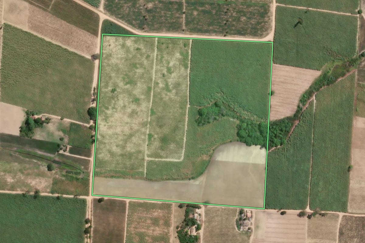 Imagem de satélite do imóvel rural em São Francisco de Itabapoana (RJ), com o contorno declarado no CAR desenhado por cima.