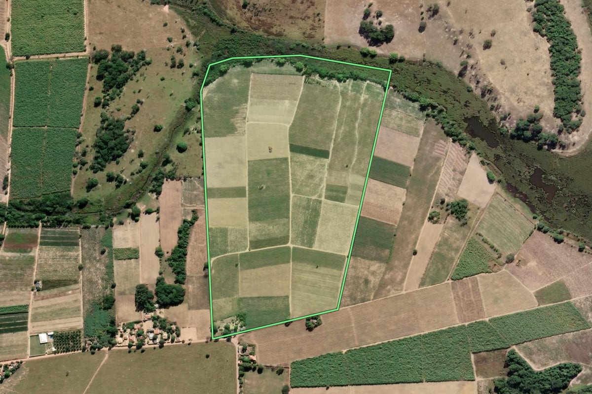 Imagem de satélite do imóvel rural em São Francisco de Itabapoana (RJ), com o contorno declarado no CAR desenhado por cima.