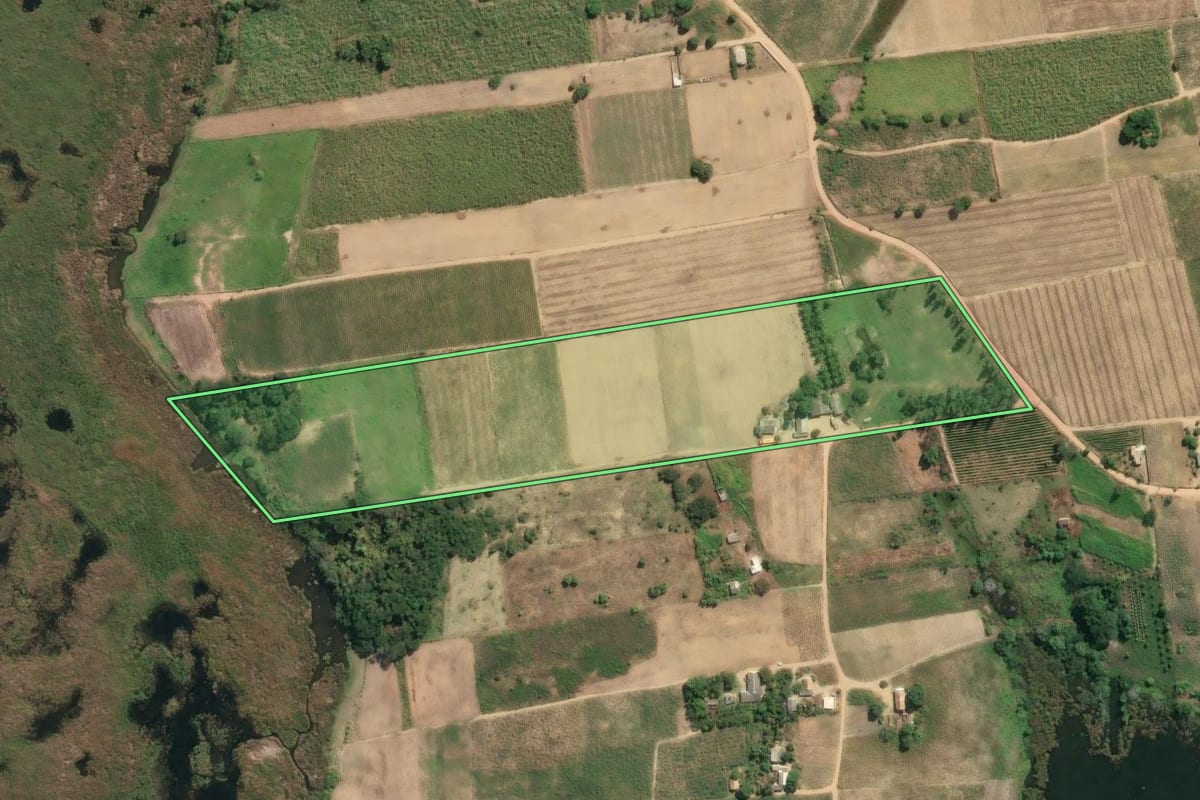 Imagem de satélite do imóvel rural em São Francisco de Itabapoana (RJ), com o contorno declarado no CAR desenhado por cima.