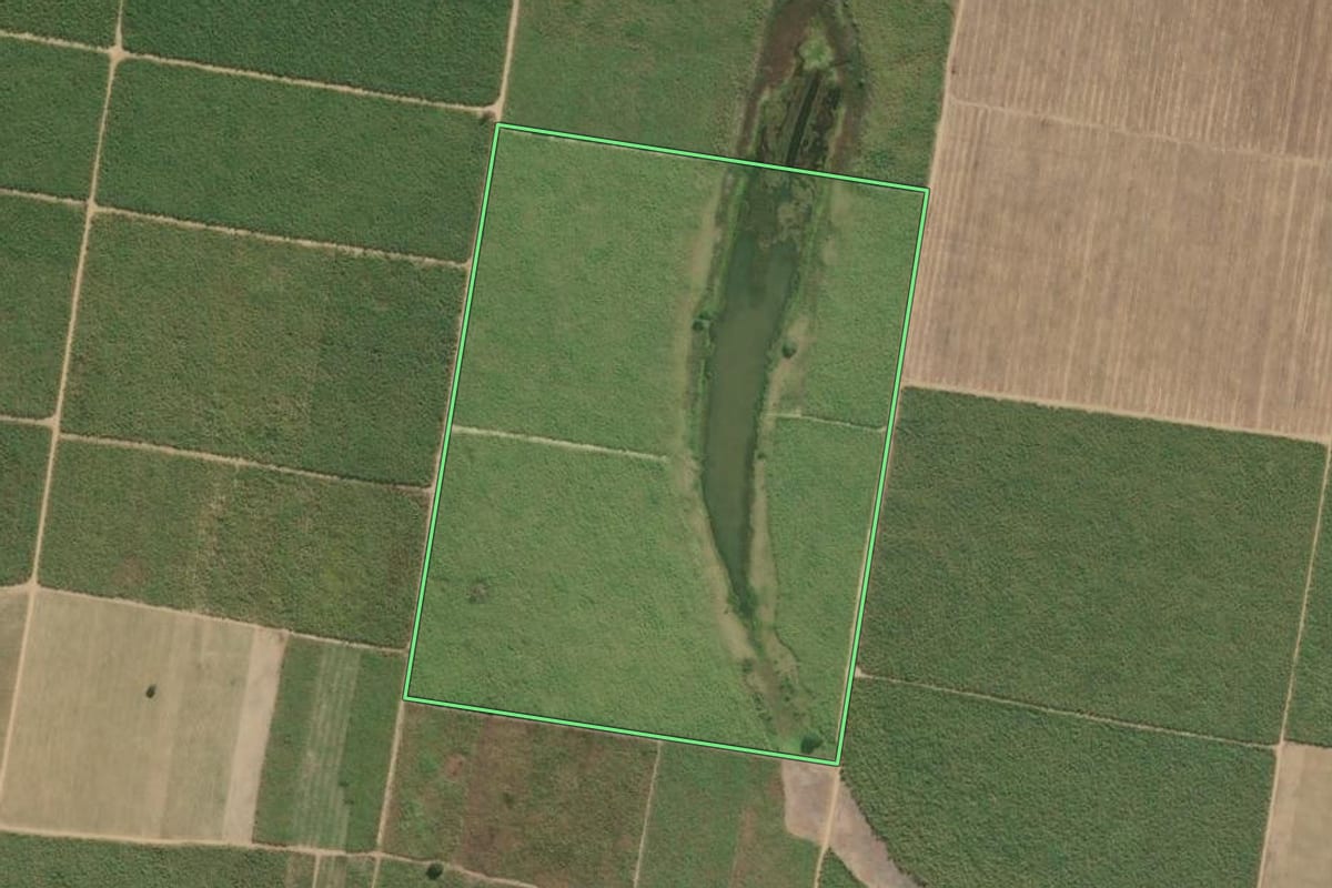 Imagem de satélite do imóvel rural em São Francisco de Itabapoana (RJ), com o contorno declarado no CAR desenhado por cima.