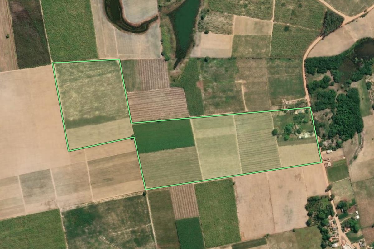 Imagem de satélite do imóvel rural em São Francisco de Itabapoana (RJ), com o contorno declarado no CAR desenhado por cima.