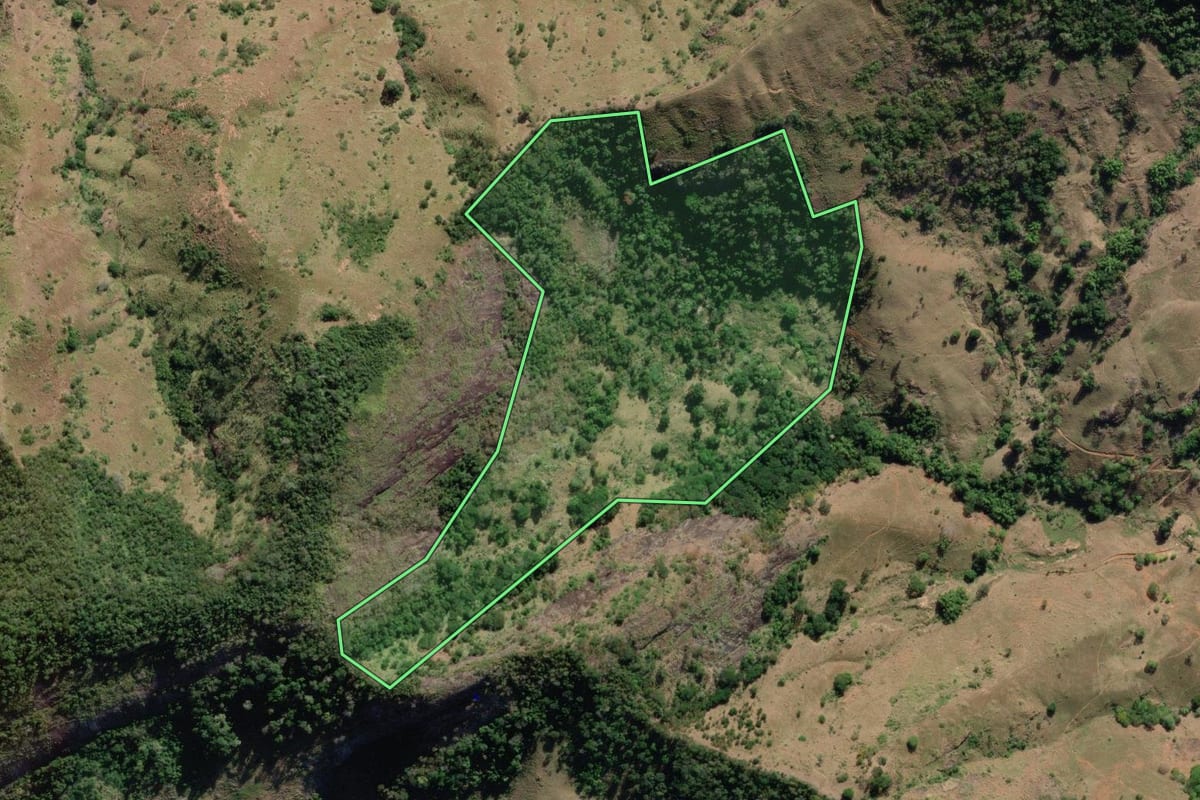Imagem de satélite do imóvel rural em São Fidélis (RJ), com o contorno declarado no CAR desenhado por cima.