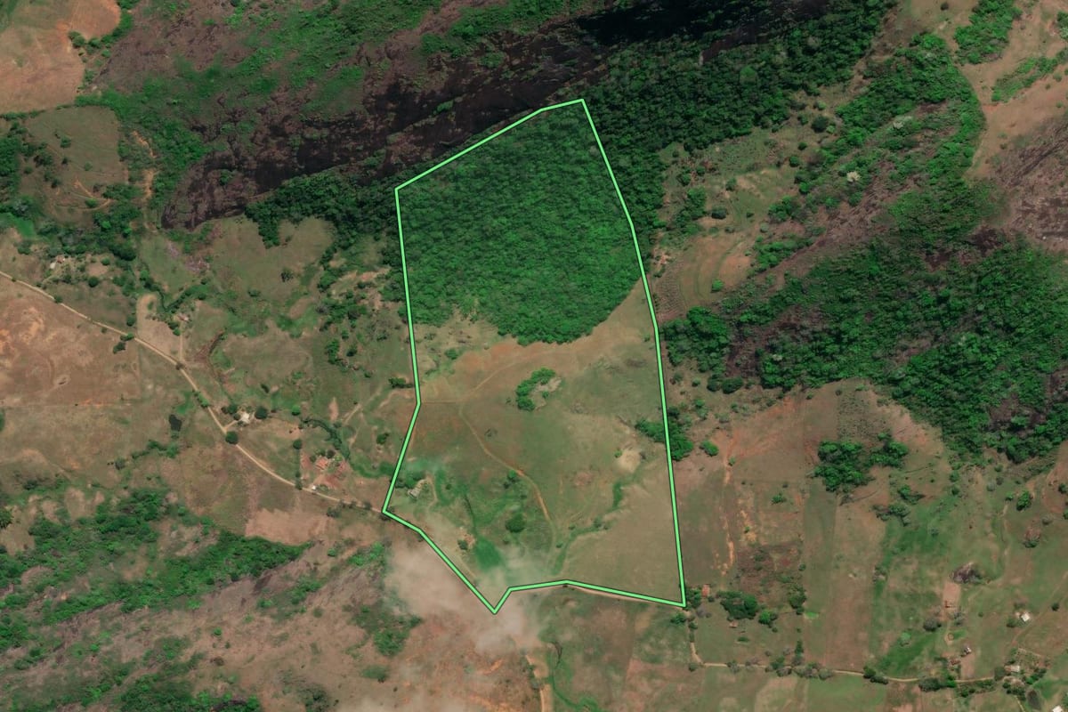 Imagem de satélite do imóvel rural em São Fidélis (RJ), com o contorno declarado no CAR desenhado por cima.