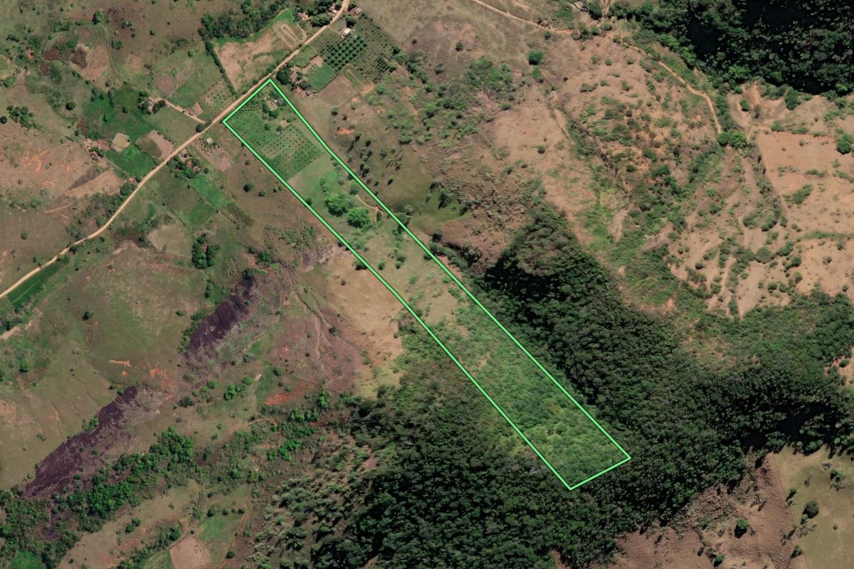 Imagem de satélite do imóvel rural em São Fidélis (RJ), com o contorno declarado no CAR desenhado por cima.