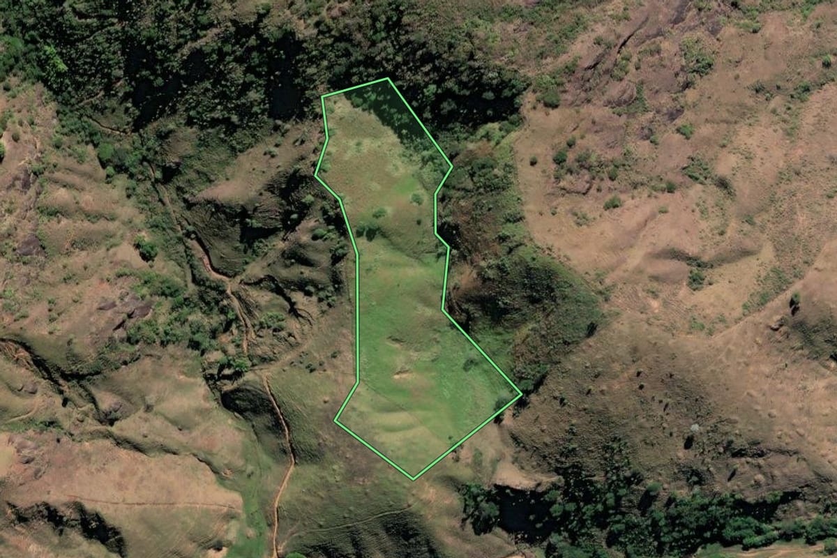 Imagem de satélite do imóvel rural em São Fidélis (RJ), com o contorno declarado no CAR desenhado por cima.