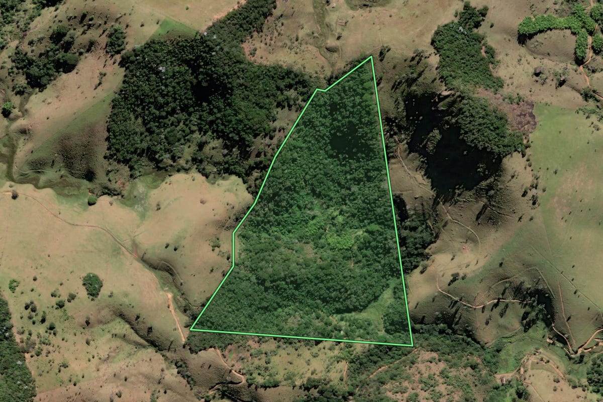Imagem de satélite do imóvel rural em São Fidélis (RJ), com o contorno declarado no CAR desenhado por cima.