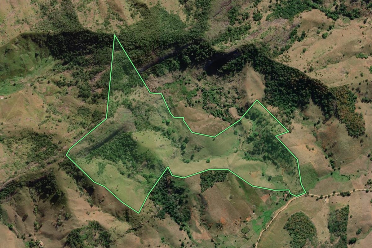 Imagem de satélite do imóvel rural em São Fidélis (RJ), com o contorno declarado no CAR desenhado por cima.