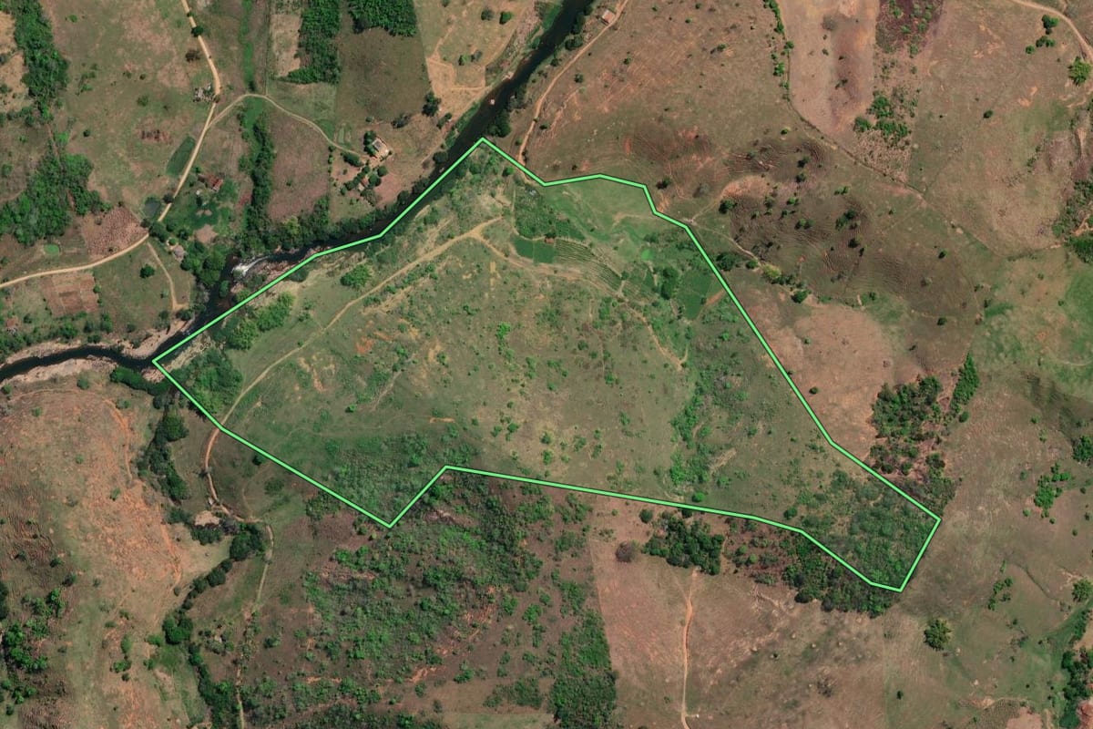 Imagem de satélite do imóvel rural em São Fidélis (RJ), com o contorno declarado no CAR desenhado por cima.