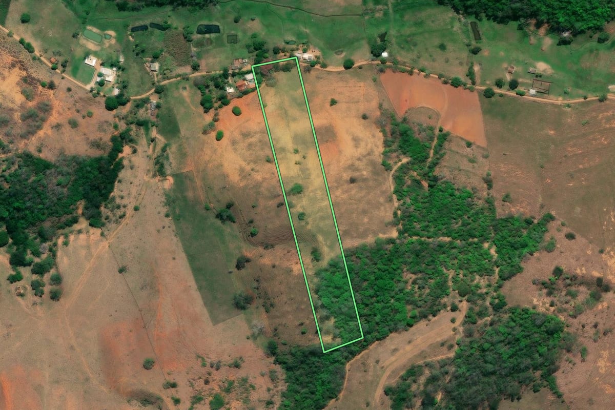 Imagem de satélite do imóvel rural em São Fidélis (RJ), com o contorno declarado no CAR desenhado por cima.