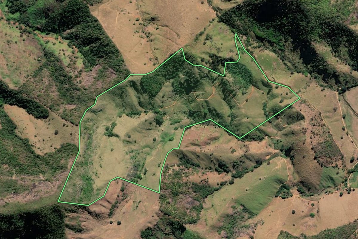 Imagem de satélite do imóvel rural em São Fidélis (RJ), com o contorno declarado no CAR desenhado por cima.