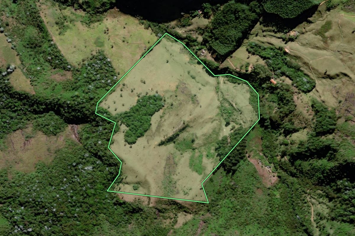 Imagem de satélite do imóvel rural em São Fidélis (RJ), com o contorno declarado no CAR desenhado por cima.
