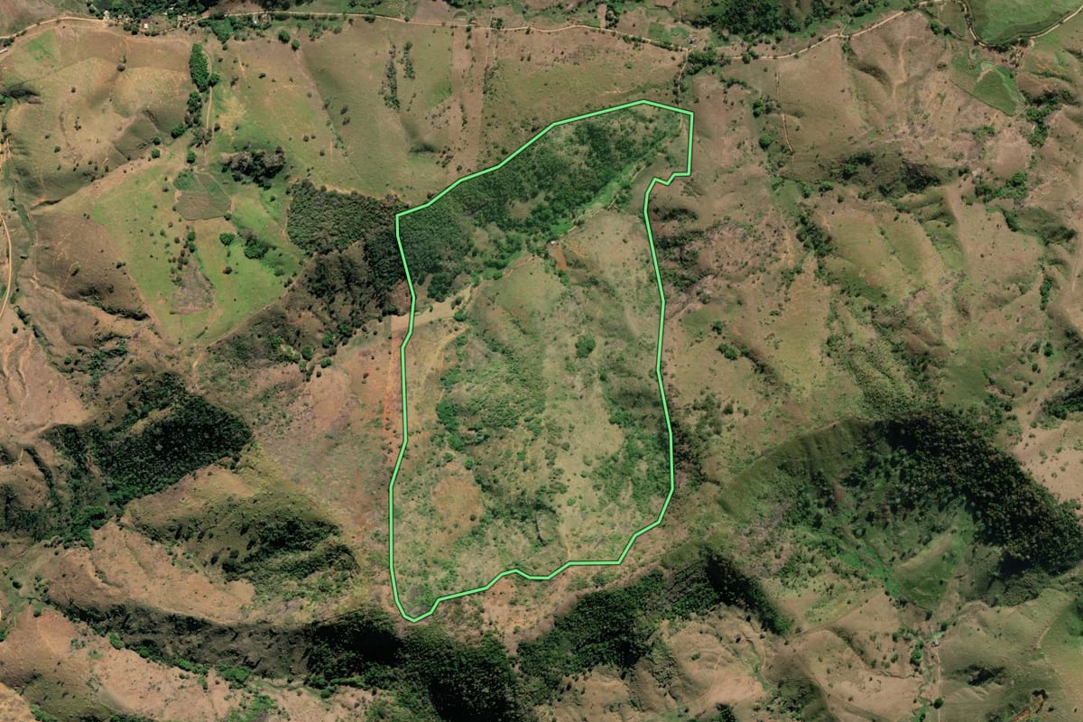 Imagem de satélite do imóvel rural em São Fidélis (RJ), com o contorno declarado no CAR desenhado por cima.