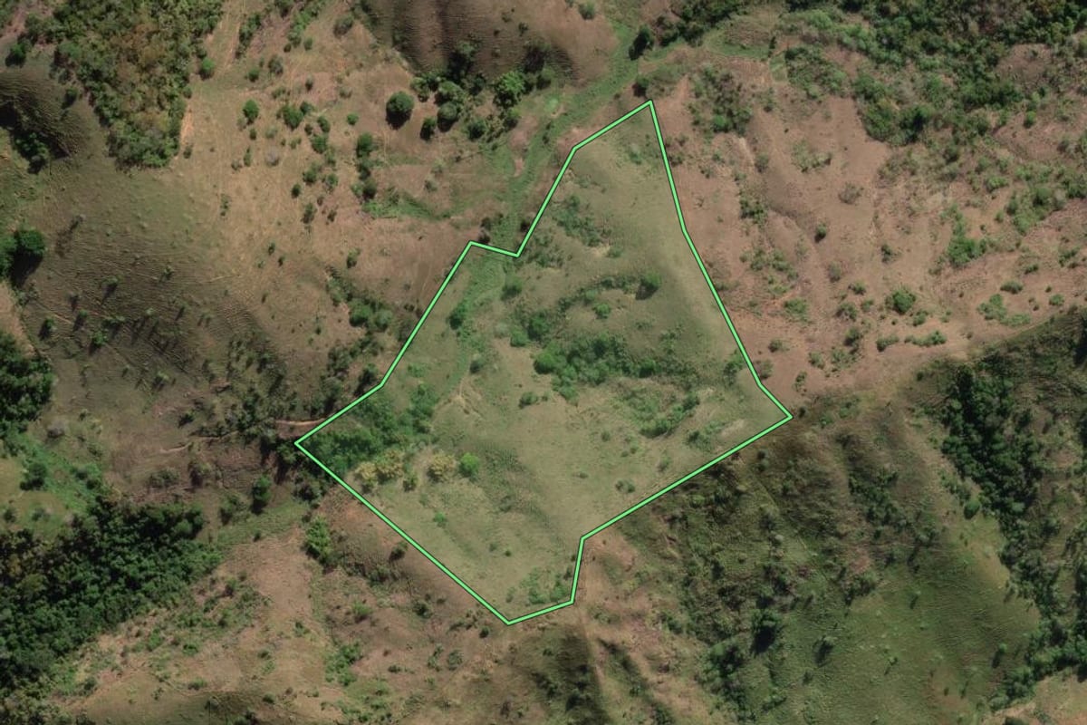 Imagem de satélite do imóvel rural em São Fidélis (RJ), com o contorno declarado no CAR desenhado por cima.