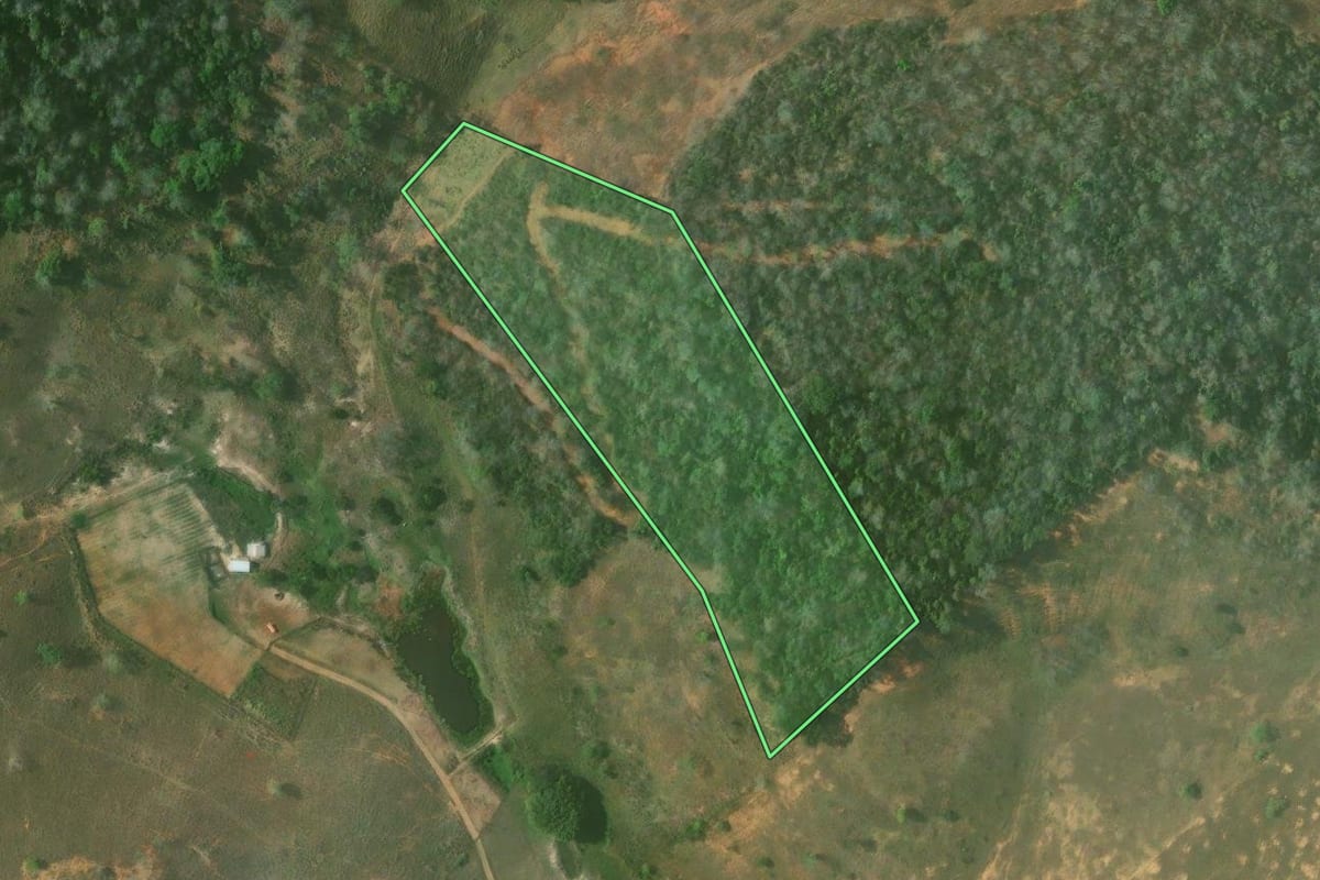 Imagem de satélite do imóvel rural em São Fidélis (RJ), com o contorno declarado no CAR desenhado por cima.
