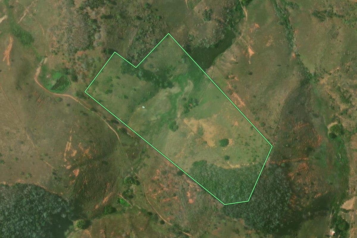 Imagem de satélite do imóvel rural em São Fidélis (RJ), com o contorno declarado no CAR desenhado por cima.