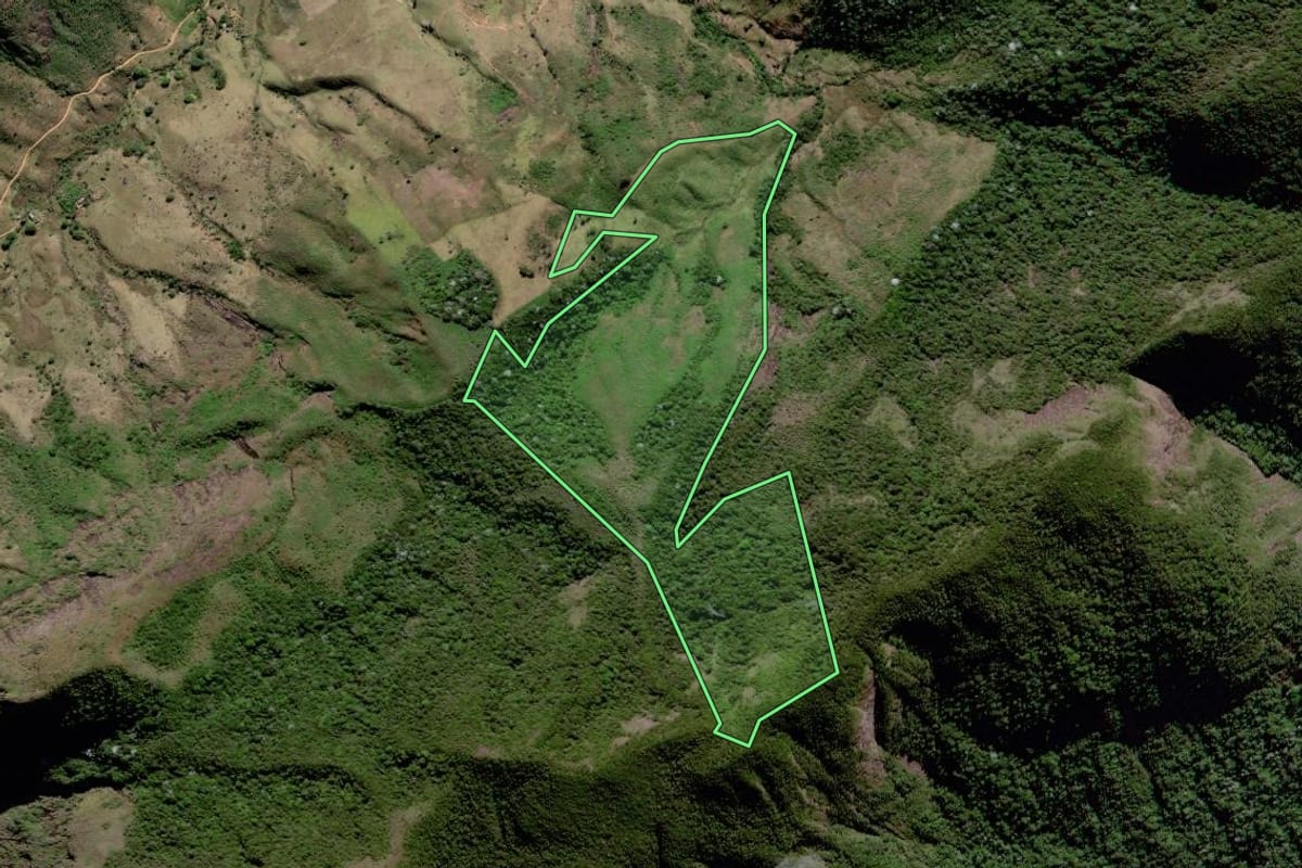 Imagem de satélite do imóvel rural em São Fidélis (RJ), com o contorno declarado no CAR desenhado por cima.