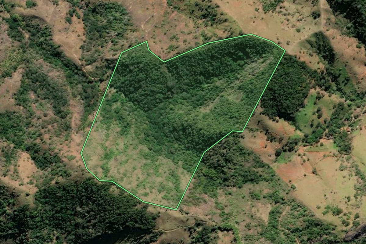 Imagem de satélite do imóvel rural em São Fidélis (RJ), com o contorno declarado no CAR desenhado por cima.