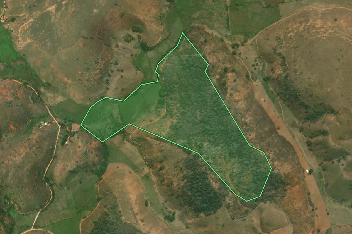 Imagem de satélite do imóvel rural em São Fidélis (RJ), com o contorno declarado no CAR desenhado por cima.