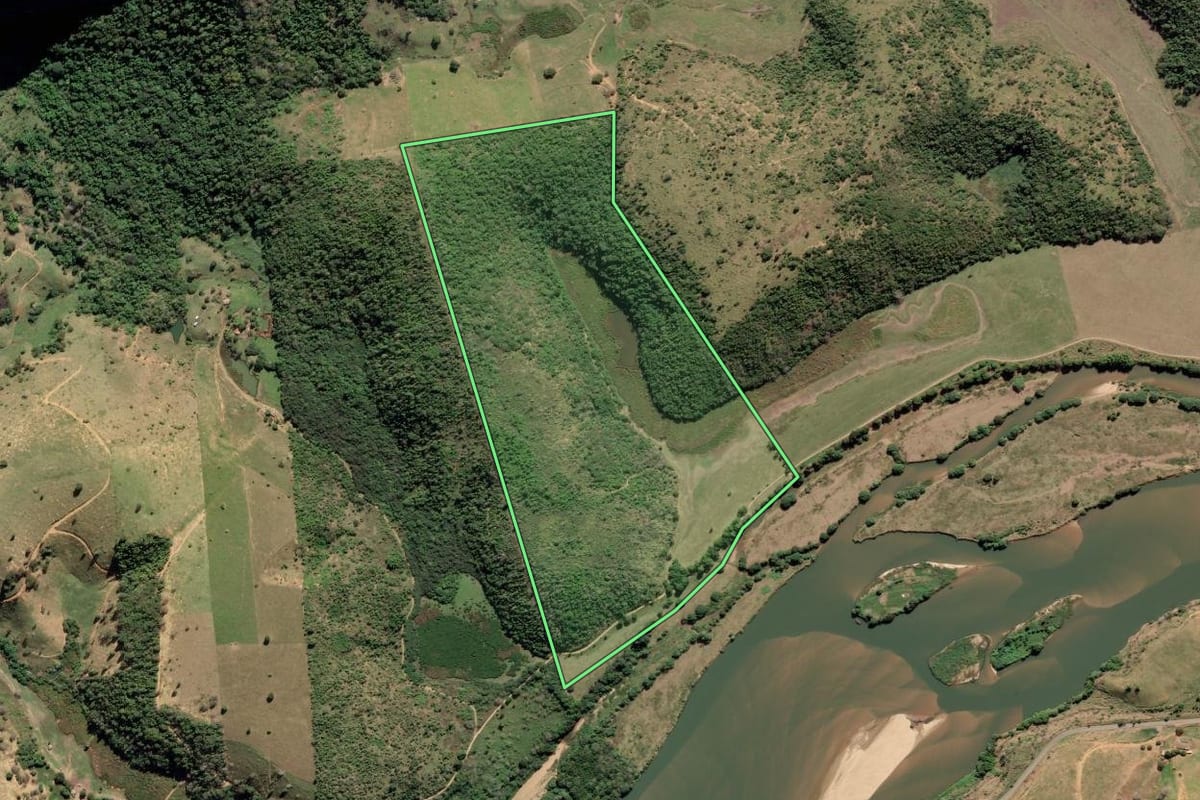 Imagem de satélite do imóvel rural em São Fidélis (RJ), com o contorno declarado no CAR desenhado por cima.